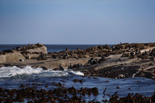 Robben Island with a former political prisoner — Cape Town