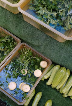 Fresh parsley, zucchini, and mushrooms displayed at a market stall.