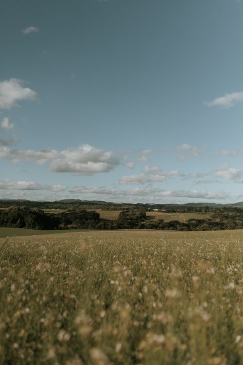 Free A tranquil view of a wide open field with a clear blue sky and fluffy clouds. Ideal for nature lovers. Stock Photo