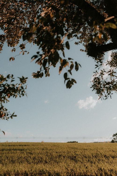 Free A peaceful rural landscape with tree branches framing a vast grassy field beneath a clear sky. Stock Photo