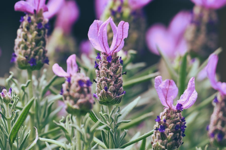 Scented Pathways to Adventure: Exploring the World Through Aromas