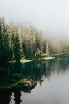 A tranquil forest scene featuring mist covering tall trees reflected in a serene lake.