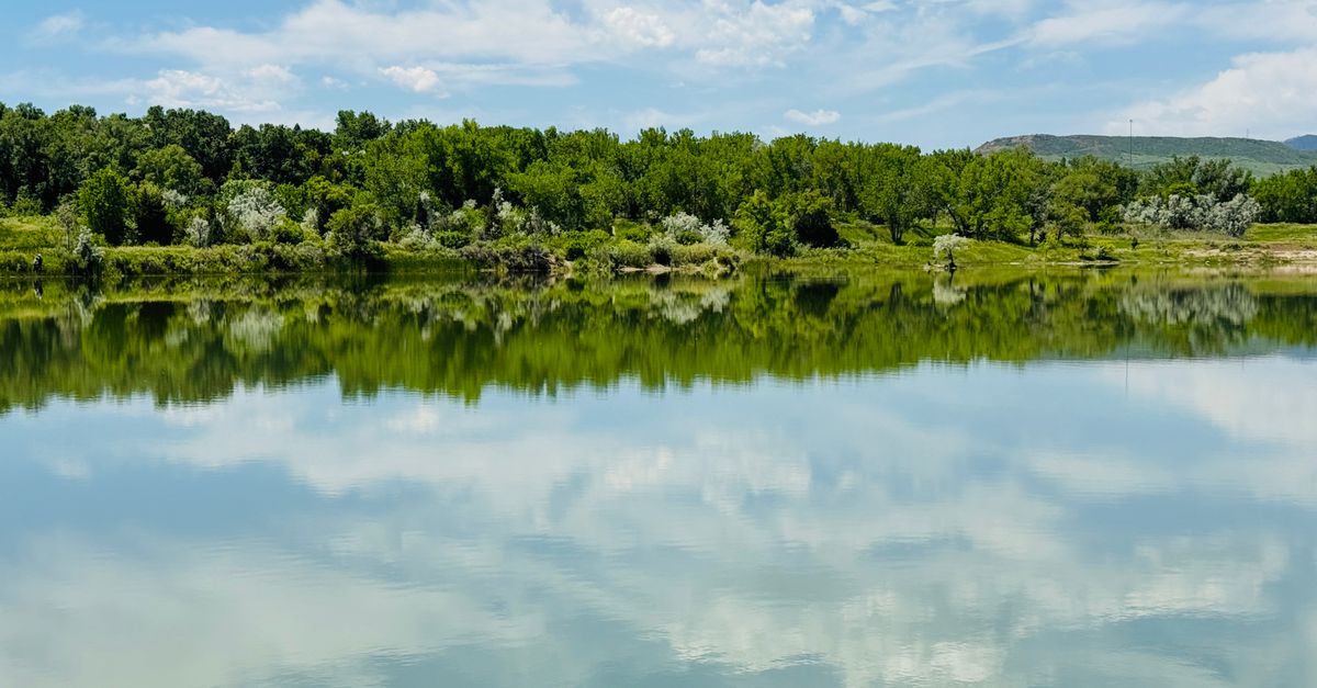 Scenic view of a reflective lake surrounded by dense green forest under a bright summer sky.