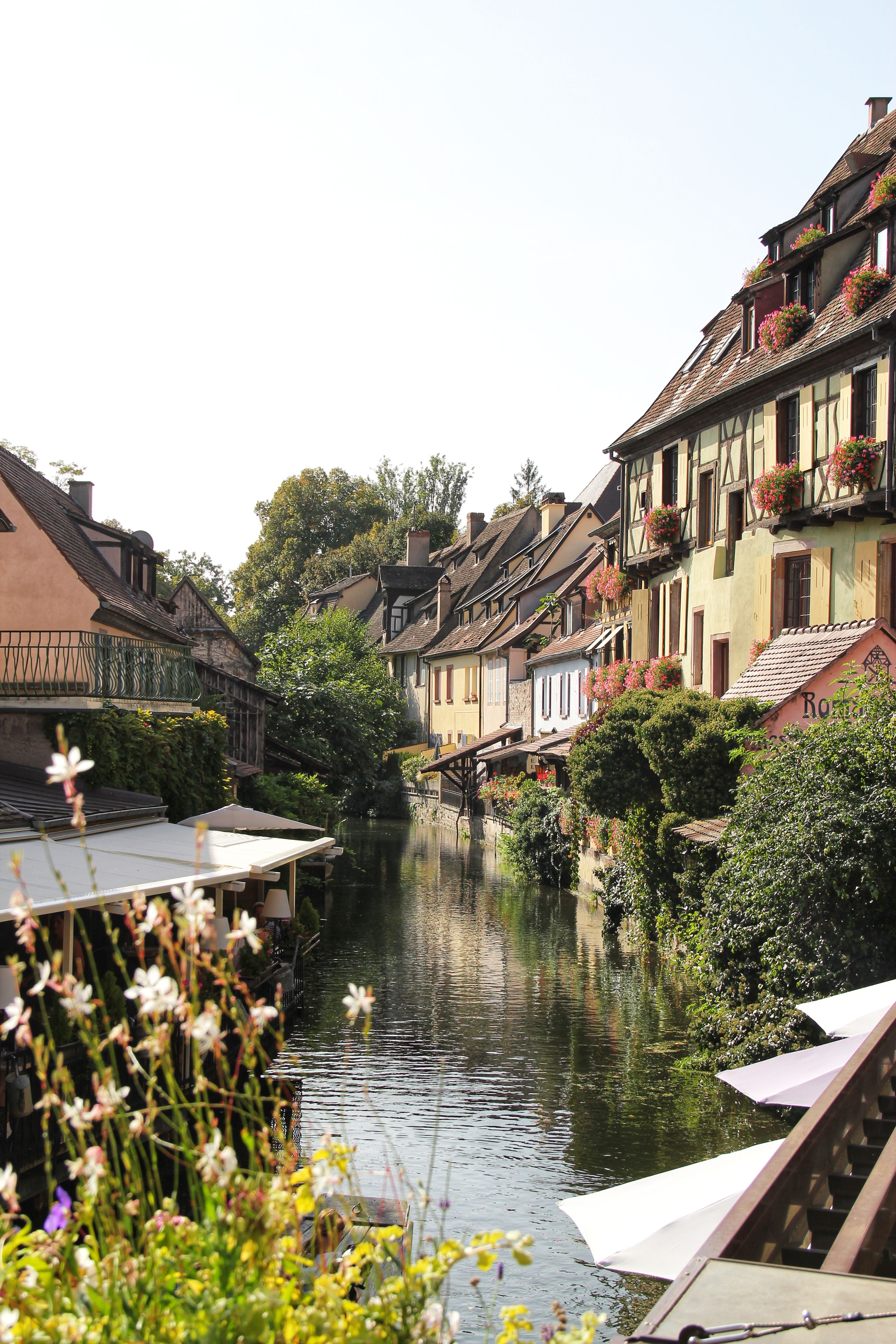 Charming Streets and Canals of Colmar, France · Free Stock Photo