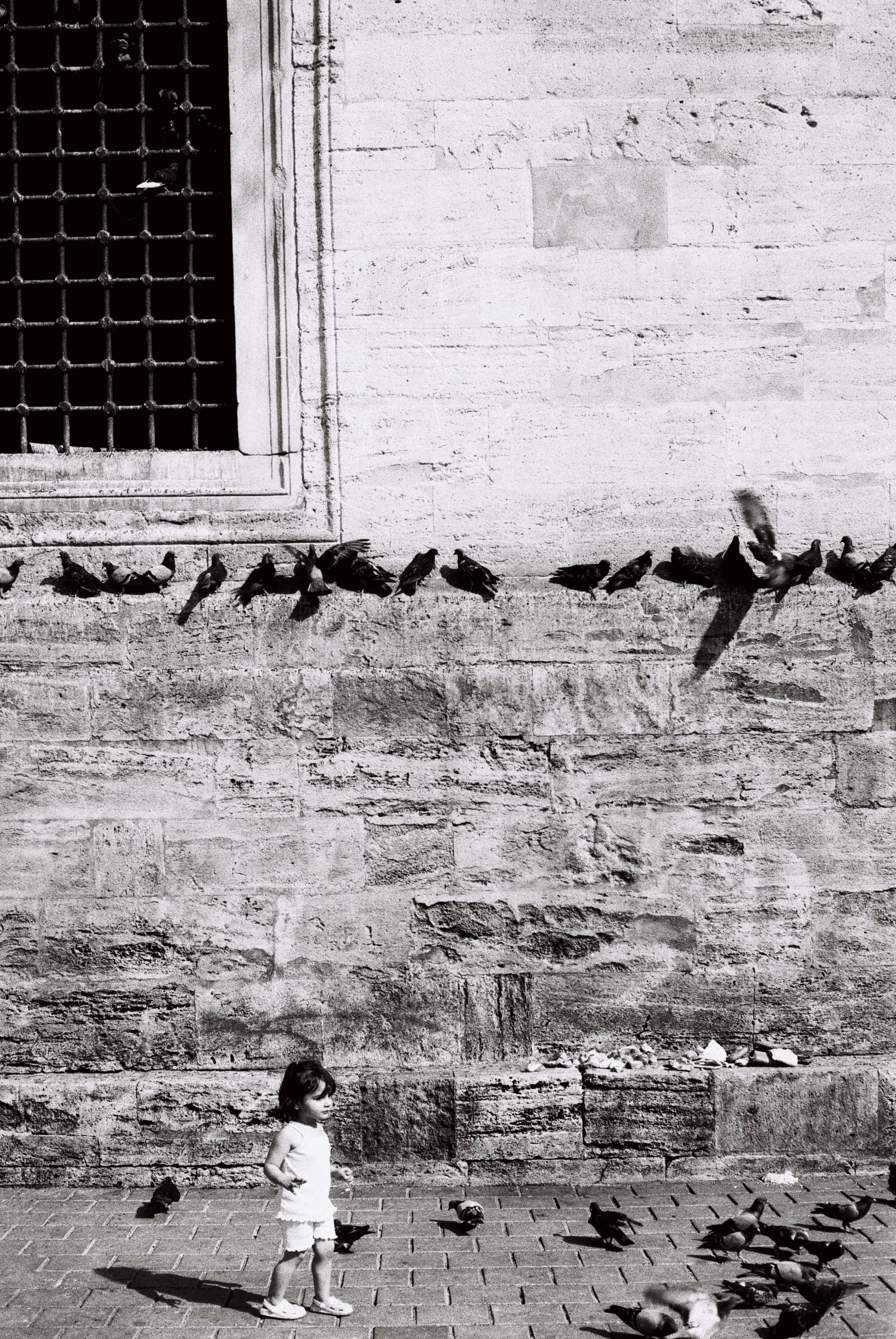 Gratis Et barn ser på duer nær en historisk mur i Istanbul, Tyrkiet. Lagerfoto