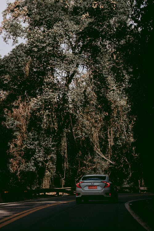 Coche En La Carretera