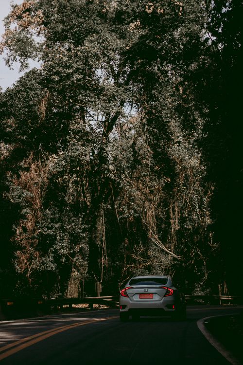 Free A car drives through a winding road surrounded by lush trees, capturing the essence of travel. Stock Photo
