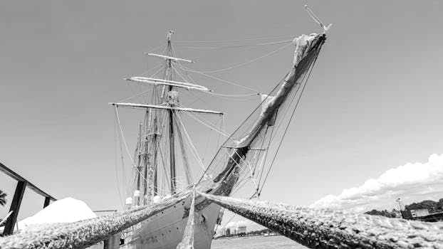 Photo by Miguel Caireta Serra