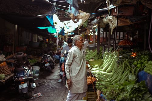 Free Elderly man selecting fresh produce in a vibrant street market filled with vegetables. Stock Photo