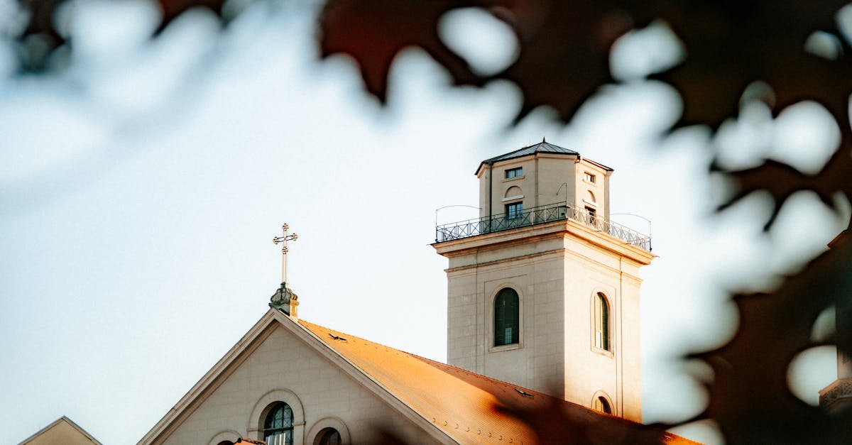從十字架的苦路到新生活的希望之旅