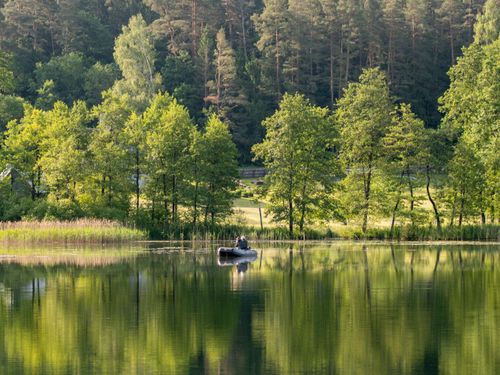 Free A tranquil scene with a lone person fishing on a calm lake surrounded by lush forest in Lithuania. Stock Photo