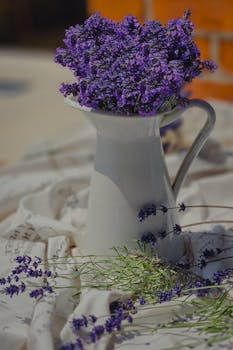 A white ceramic pitcher filled with vibrant lavender flowers, showcasing rustic charm and natural beauty.