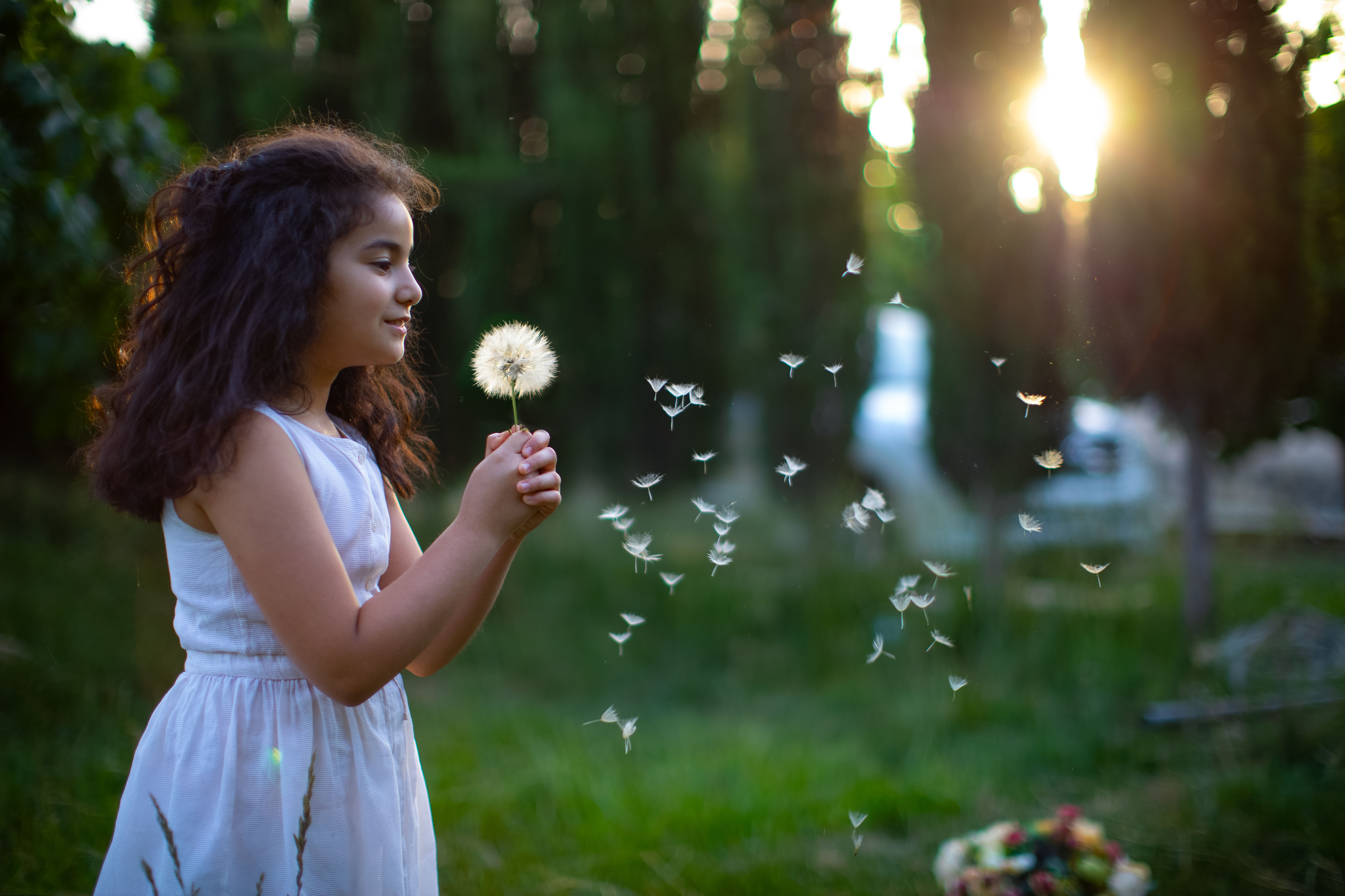 A young girl in a sunlit park blows on a dandelion, spreading seeds in the air.