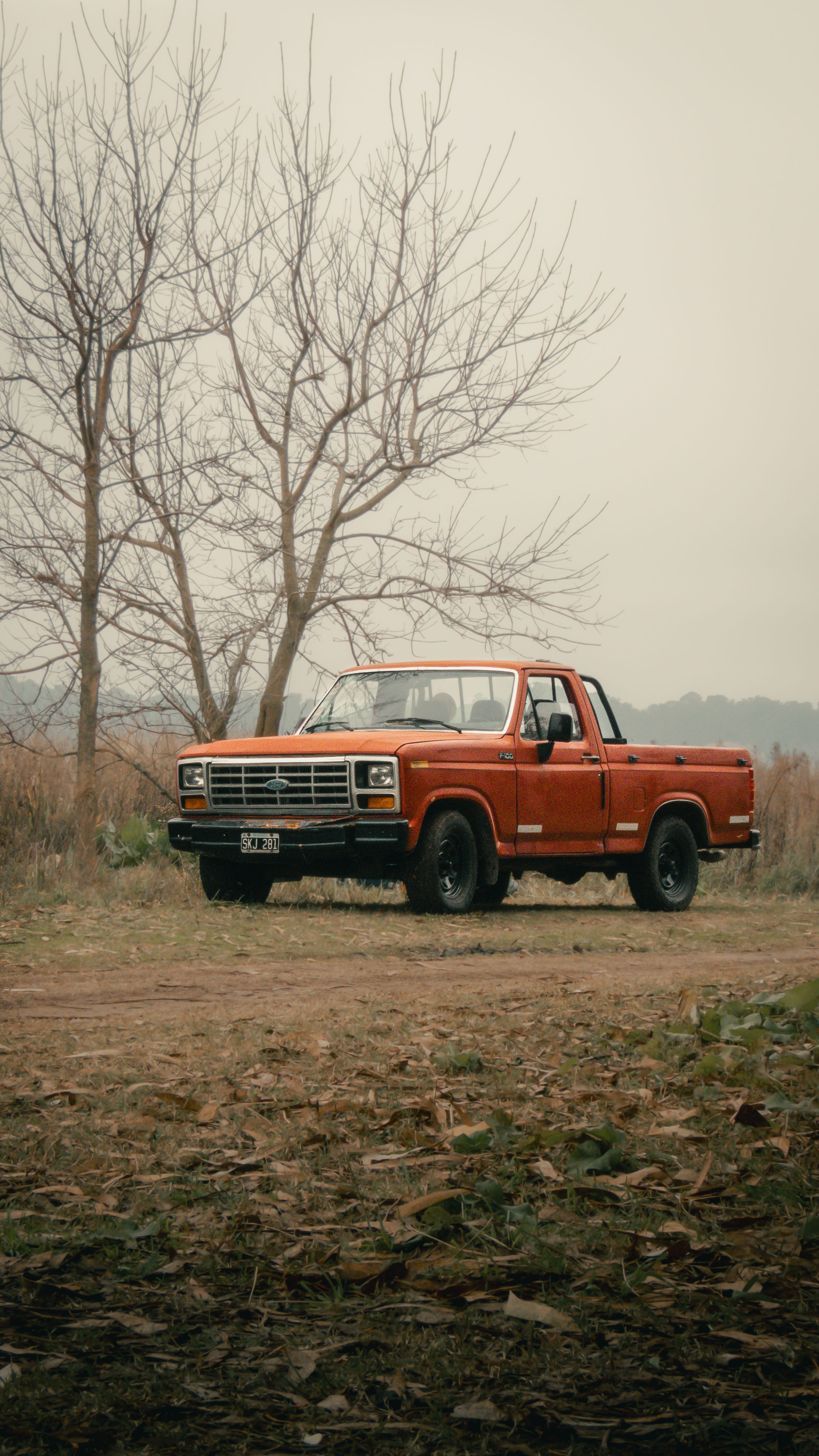 Vintage Red Pickup Truck in Rural Setting · Free Stock Photo