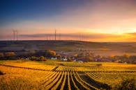 Scenic View of Agricultural Field Against Sky during Sunset