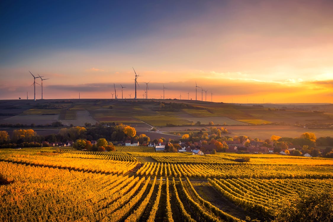 Vista Panoramica Del Campo Agricolo Contro Il Cielo Durante Il Tramonto