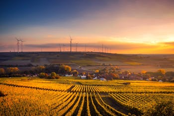 Scenic View of Agricultural Field Against Sky during Sunset