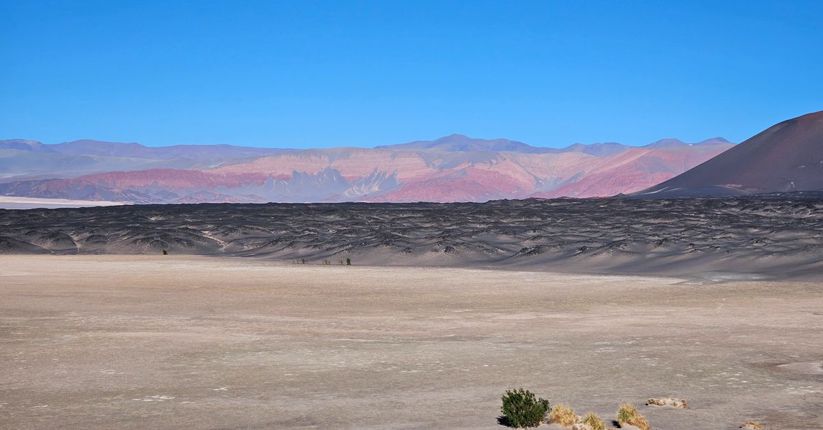Explorando 8 desiertos y ambientes extremos habitados por microorganismos y animales Explorando 8 desiertos y ambientes extremos habitados por microorganismos y animales