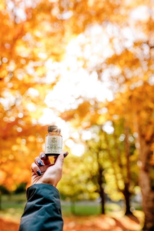 Person Holding Bottle of CBD Oil