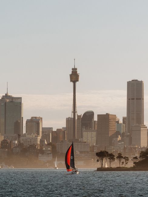 The Best City Views in Sydney (Maybe!) The Best City Views in Sydney (Maybe!)