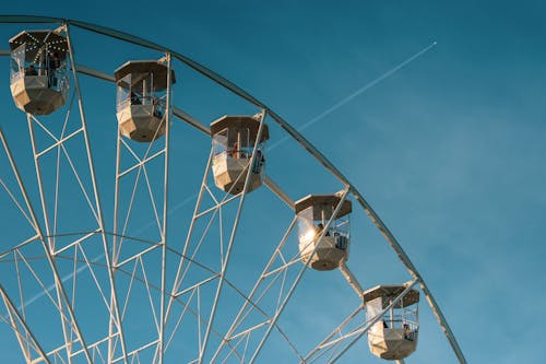 Roda Gigante Branca E Marrom