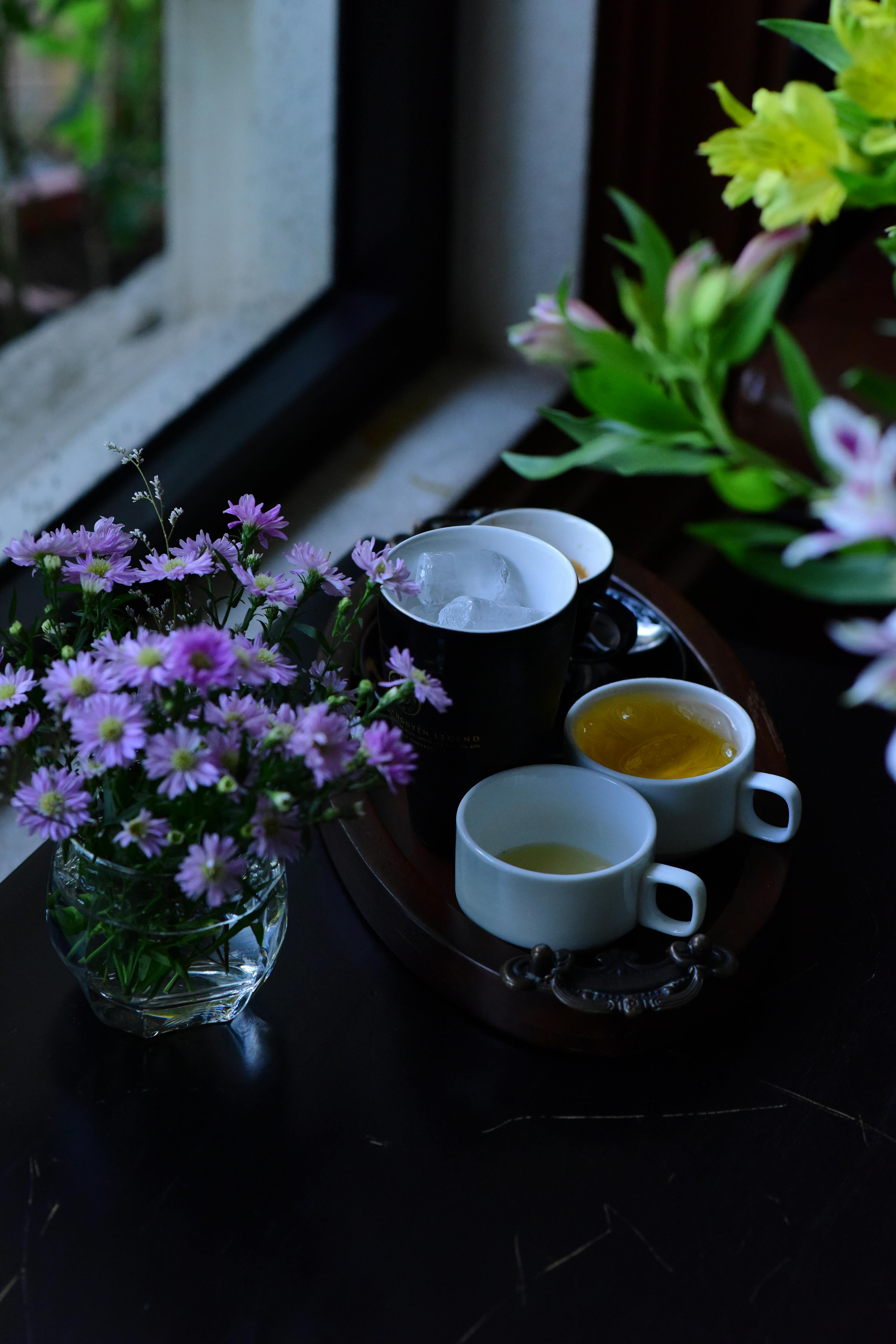 日本溫泉推薦：體驗箱根溫泉的療癒魅力與周邊美景