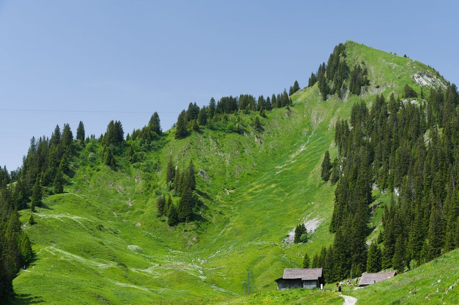 Discover a picturesque Swiss Alp view with lush greenery and rustic cabins.