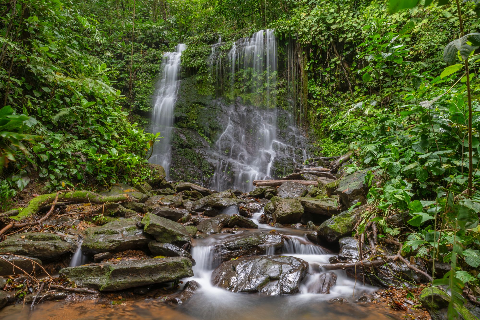 Monteverde
