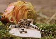 苔藓上的复古钥匙和心形装饰，在玫瑰花旁营造出浪漫的场景