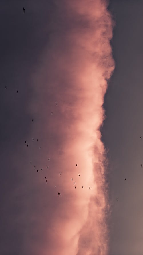 Free Closeup of large smoke of fire rising on dark sky in evening time Stock Photo