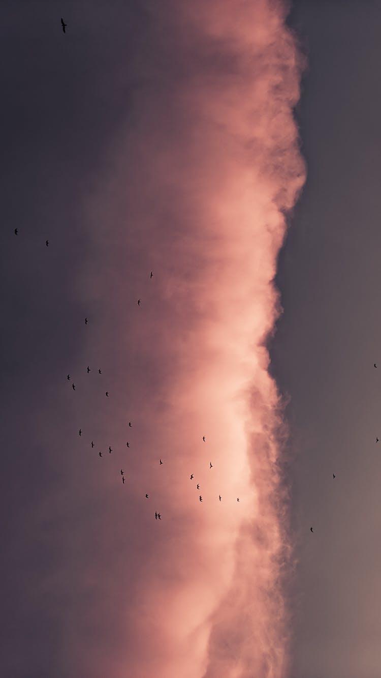 Smoke On Dark Sky In Evening Time