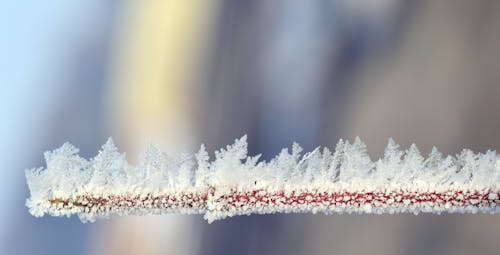 無料 冬の空に対して凍った湖のクローズアップ 写真素材
