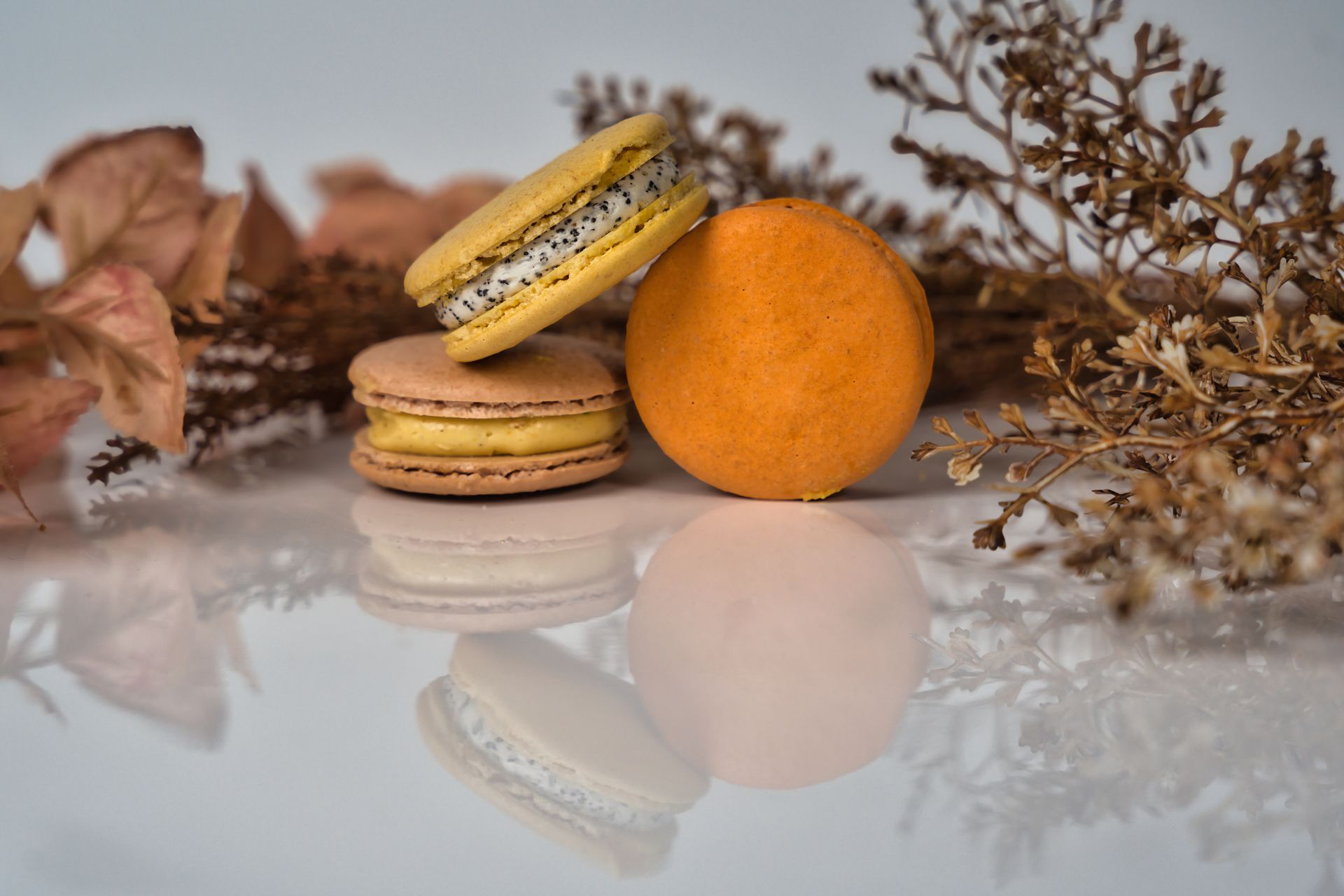 A delicate display of colorful French macarons accompanied by dried flowers on a reflective surface.