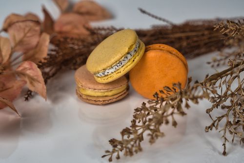 Free A selection of colorful macarons with autumn leaves creating a cozy backdrop. Stock Photo