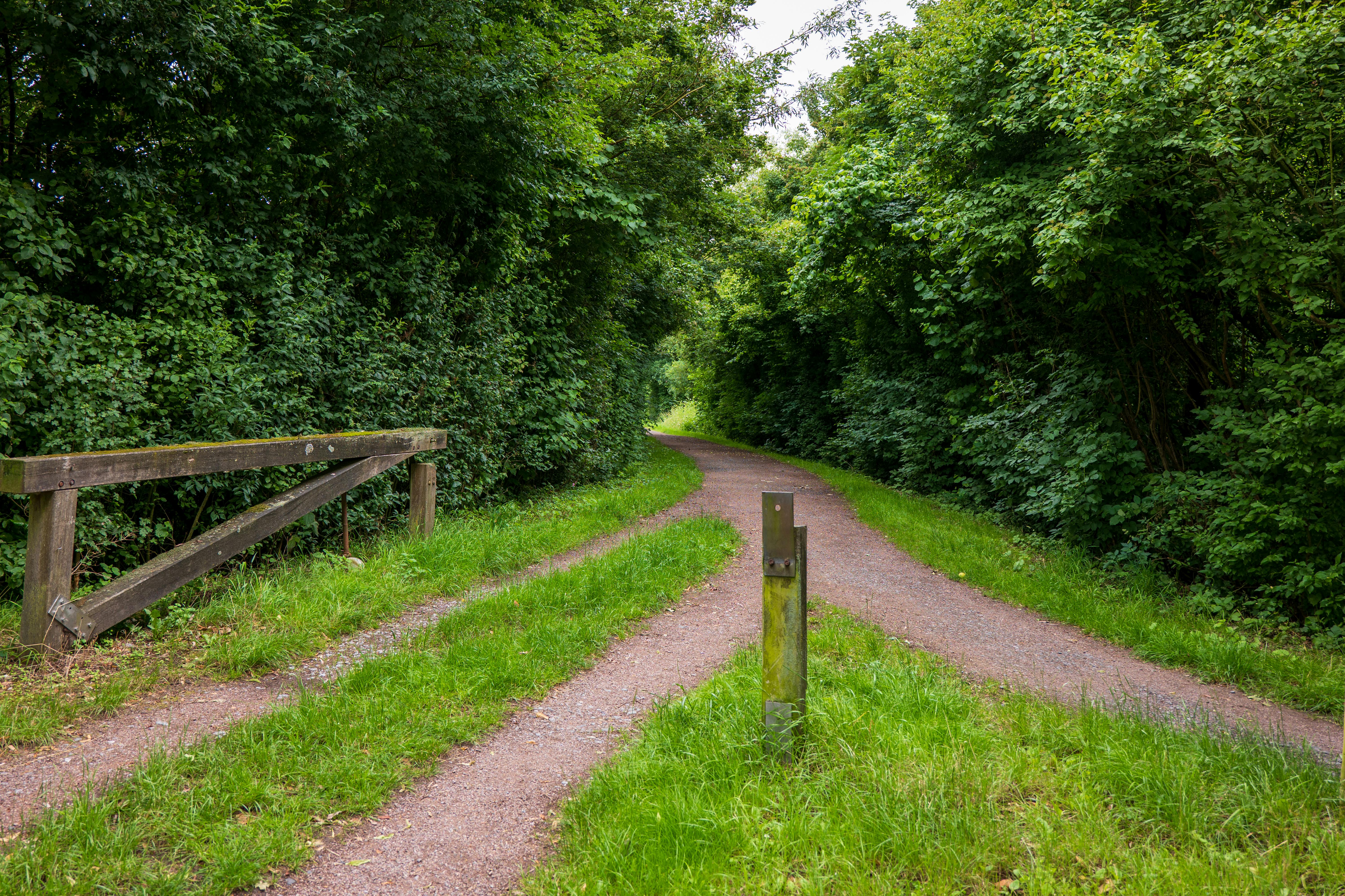 How Higgsfield AI Became 'Shitsfield AI': A Cautionary Tale of Overzealous Growth Hacking — Photo by Sergej 📸 on Pexels