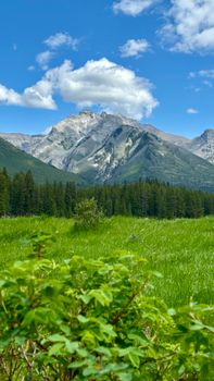 Breathtaking view of mountains, forest, and lush meadow in bright daylight.