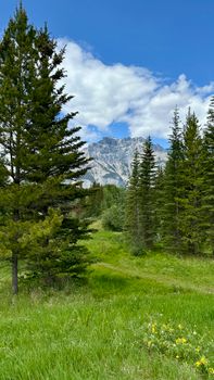 Stunning mountain view with lush greenery and blue sky, perfect for nature enthusiasts.
