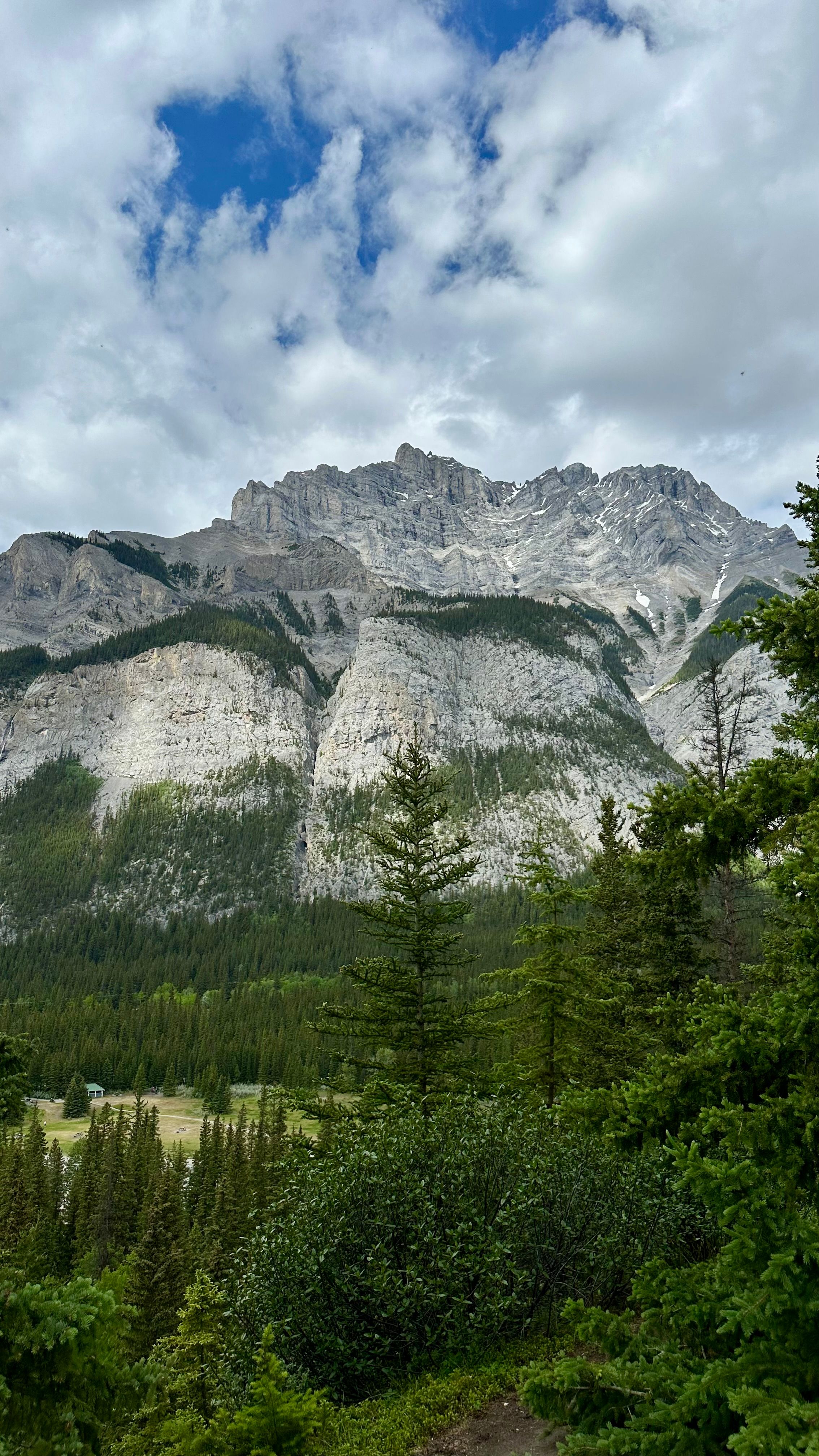 Majestic Mountain Landscape with Lush Greenery · Free Stock Photo