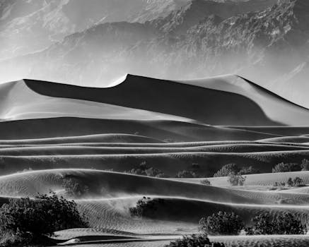 Photo by Phil Evenden
