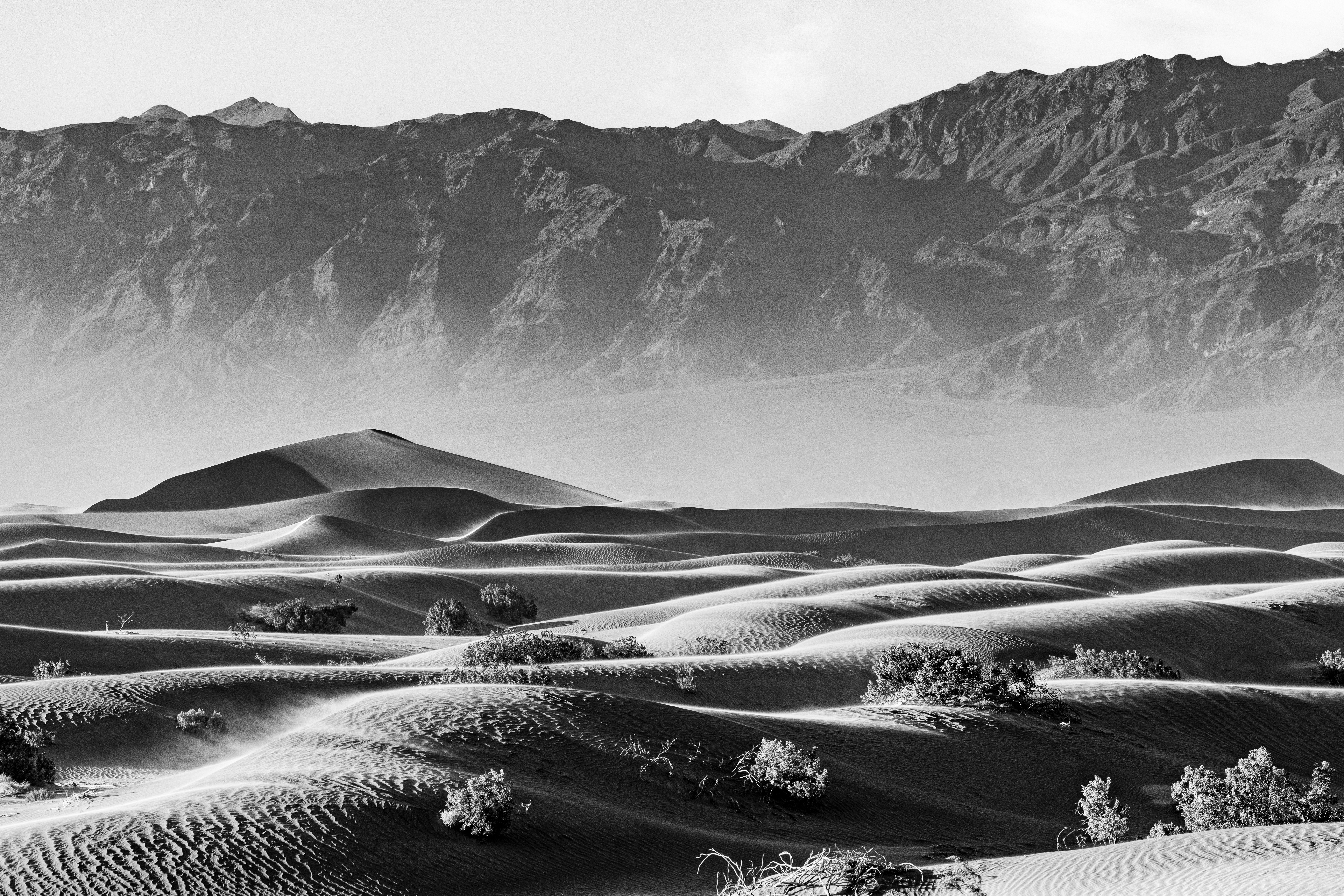 Mesmerizing Black and White Desert Landscape · Free Stock Photo