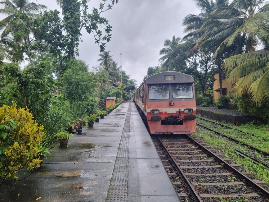 Train Travel: A Scenic Journey Train Travel: A Scenic Journey
