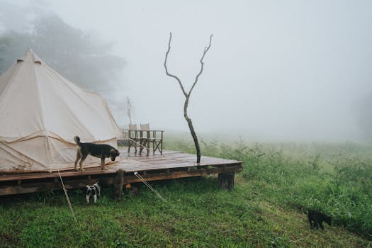 Photo by Nguyên Đoàn