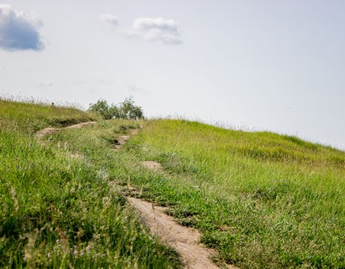 Free A sunlit dirt path winding through a vibrant green field under a clear sky with clouds. Stock Photo