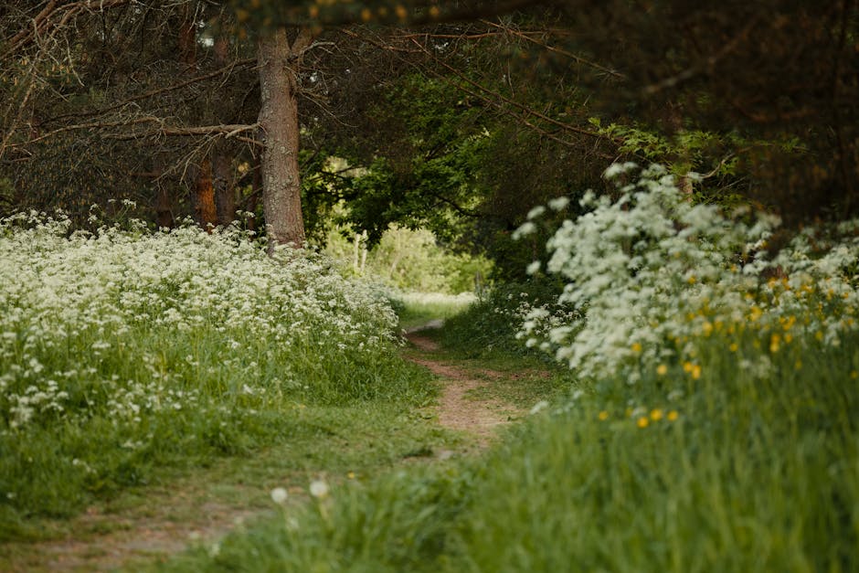 From Forest to Table: Cooking with Wild Ingredients Found in Nature's Pantry