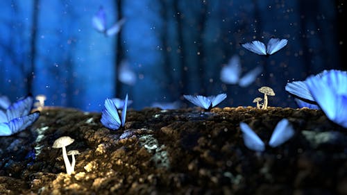 Free Close-up Photo of Glowing Blue Butterflies Stock Photo