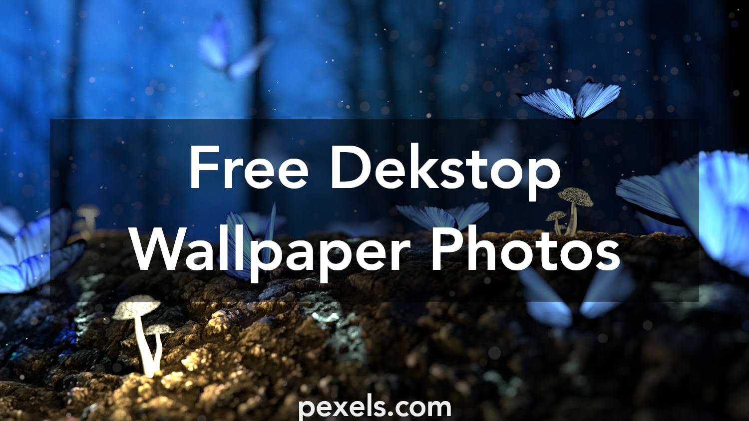 1000+ Great Dekstop Wallpaper Photos · Pexels · Free Stock Photos