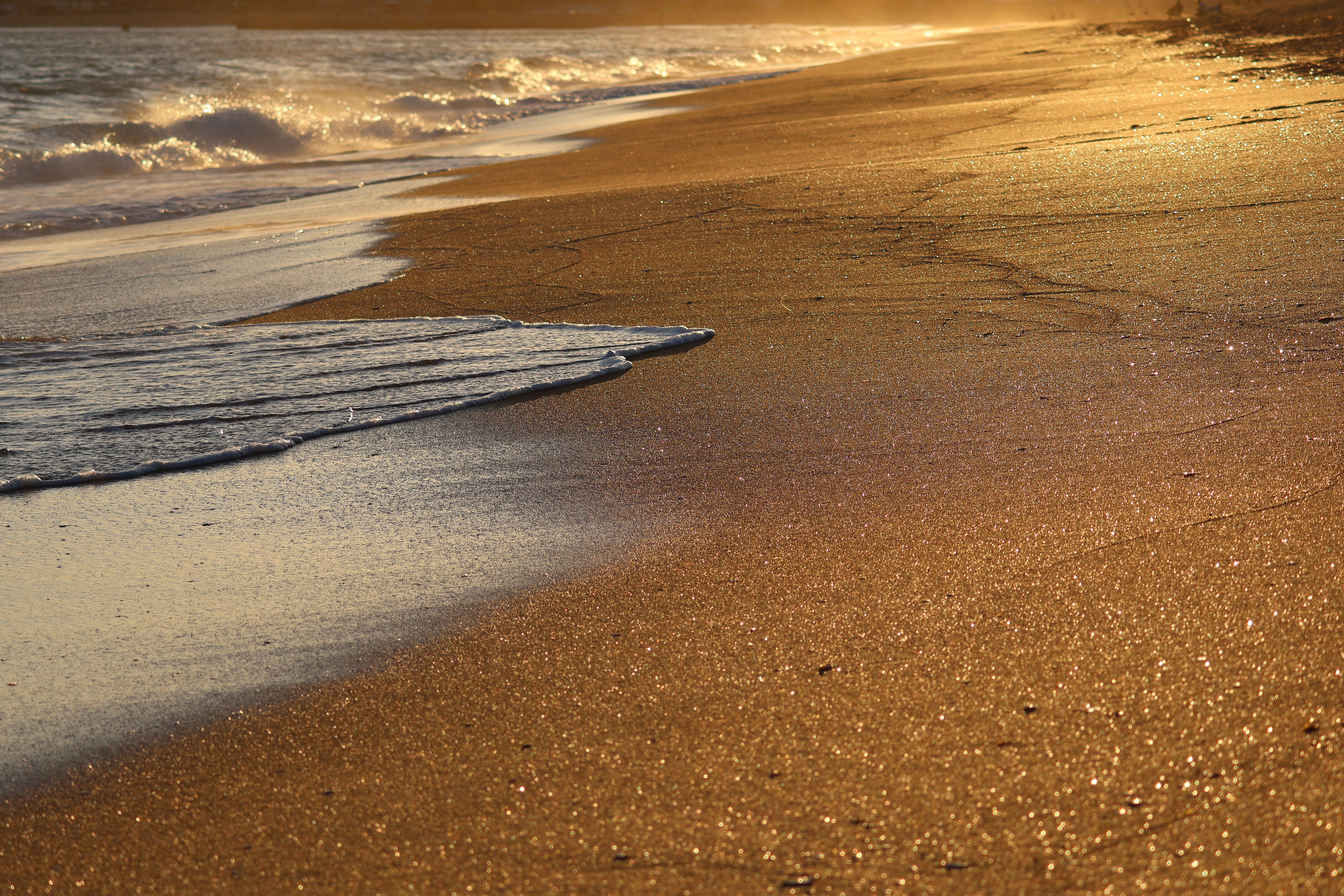 Our Guide to Nantucket’s Best Beaches, Restaurants, and Hotels — Photo by Carel Voorhorst on Pexels