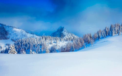 下雪的, 冬天的背景, 冬季 的 免費圖庫相片