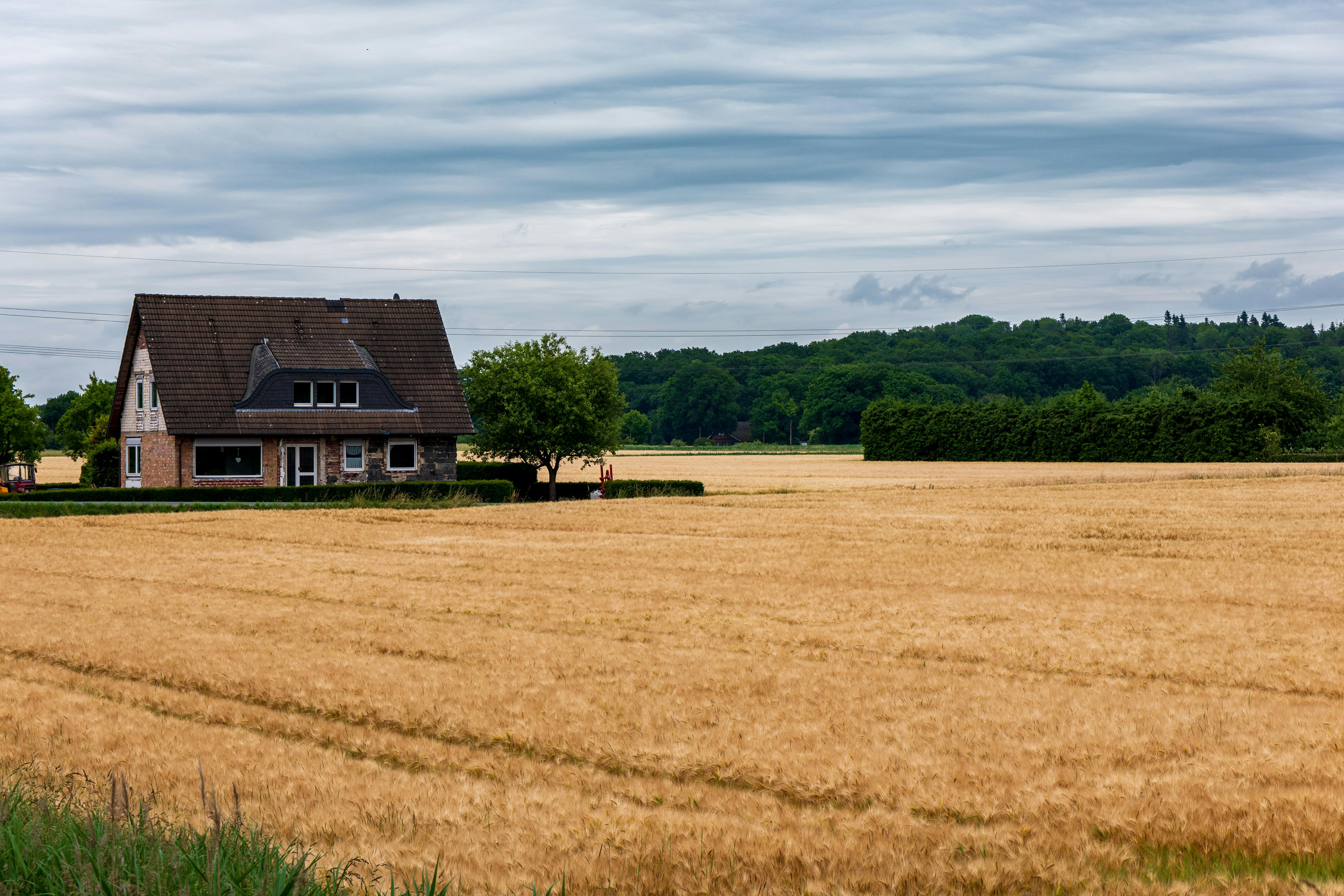 S.C. House advances small business tax proposal — Photo by Sergej 📸 on Pexels