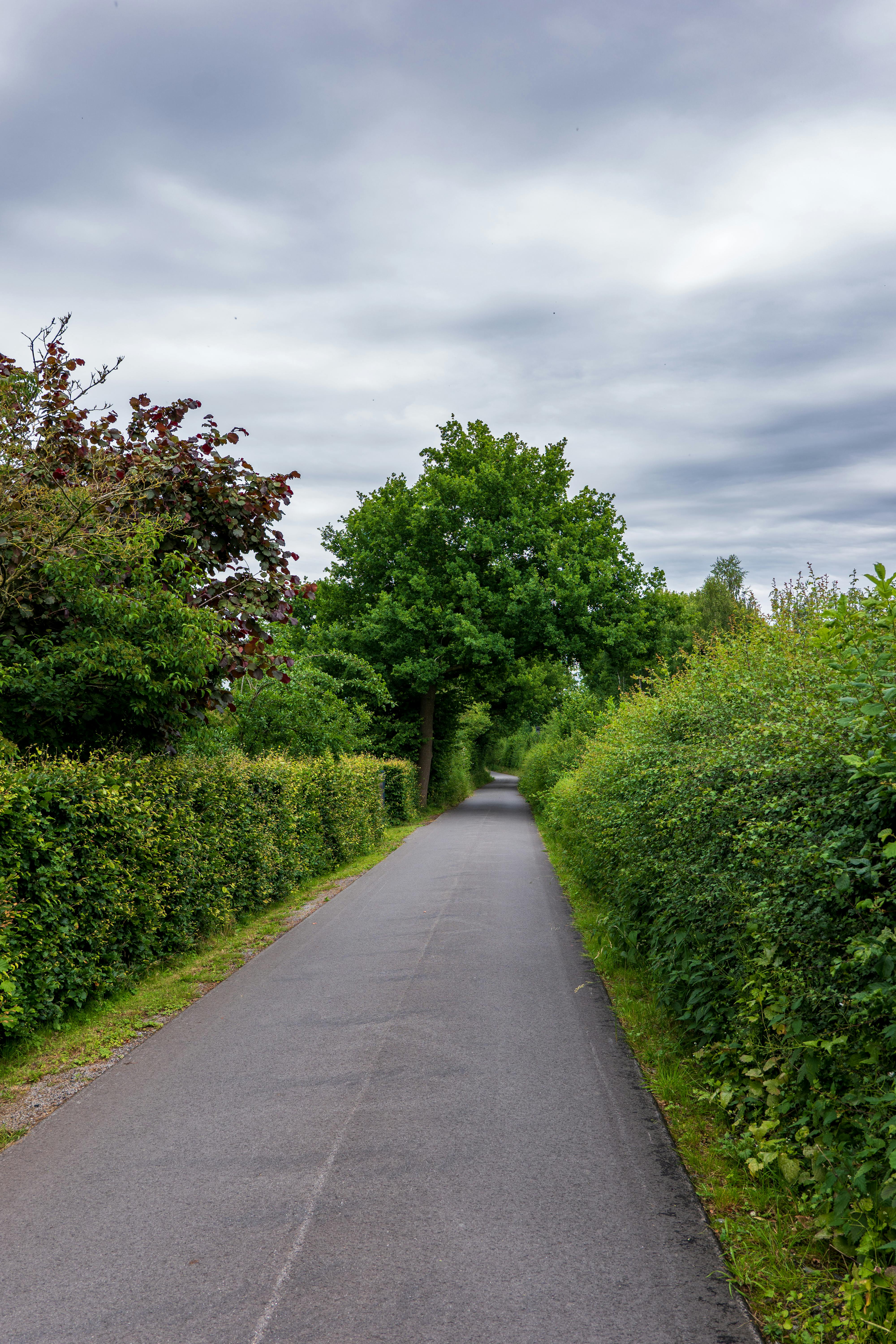 Endless Walkway Photos, Download The BEST Free Endless Walkway Stock ...